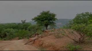 1100 acors hills top land sale Hyderabad 56 kms from Nagarjuna Sagar road 16 lacs per acor9490315226