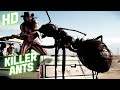 Killer Ants | Horror | HD | Full movie in English