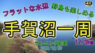 【ランニング】4K 手賀沼一周 17km 野鳥も楽しめるコース