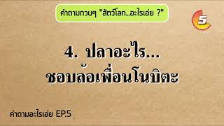 รวมคำถามอะไรเอ่ยพร้อมเฉลย ตอนที่ 5