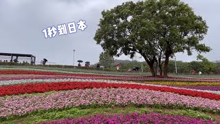 北投社三層崎公園 1秒到日本 台版富良野，公車資訊