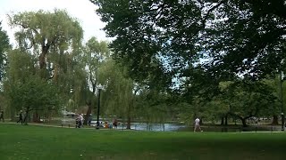 Police looking to identify suspect in attempted sexual assault at Public Garden