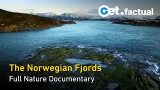 The Norwegian Fjords - Life in the Twilight | Full Nature Documentary