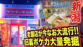 【ポケカ旅/新潟編】老舗店が今なお大流行中の新潟では旧裏ポケカが大量発掘、、、！！