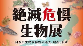 筑波実験植物園 「絶滅危惧生物展2022－日本の生物多様性の過去、現在、未来」紹介動画