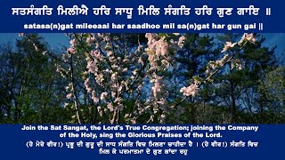 ਸਤਸੰਗਤਿ ਮਿਲੀਐ ਹਰਿ ਸਾਧੂ satasangat mileeaai har saadhoo  - Bhai Dilveer Singh