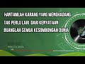 romi u0026 the jahats buah hati official video lirik