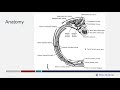 SIR-RFS Webinar Aug 24, 2020: Intercostal Nerve Block: Techniques and Pitfalls