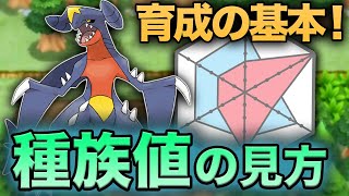 【初心者必見！】ポケモン育成の基本！種族値の見方【ダイパリメイク】