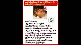 நாட்டுக் கோழி சாப்பிடுவதால் ஏற்படும் நன்மைகள். tamilhealthtips #tips #tamilhealthtipstamil