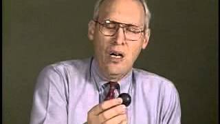 Internal Energy: Elastic and Inelastic Bouncing Balls