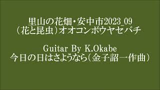 里山の花畑・安中市（花と昆虫）オオコンボウヤセバチ 2023 09 Guitar By K.Okabe 今日の日はさようなら