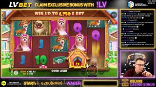 Dog House 🎰 288X and 377X BIG WIN 🤑 ➤ LVBET Casino 🍀