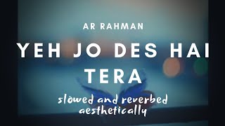 Yeh Jo Des Hai Tera (slowed + reverbed) - AR Rahman | Swades