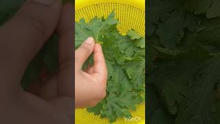 Kalara patra Bara/ Village style Bitter gourd leaves vada #recipe #odia #odiaauthentic #shorts #food