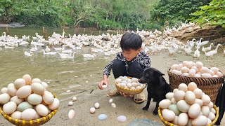 Full video: 10 days, Nam harvests duck eggs, vegetables and fruits to sell - Buys new clothes