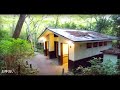 72.晩夏の【瑞宝寺公園】神戸市有馬 秀吉が愛した紅葉の名所 zuiho ji temple park hyogo japan 風情たっぷりの日本庭園に愛犬と癒やされる 真夏昼✕