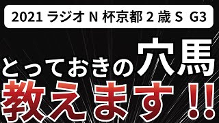 2021京都2歳S 2の傾向をお伝えいたします