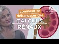 Comment éliminer les calculs rénaux (dans les reins) pour une meilleure santé ?