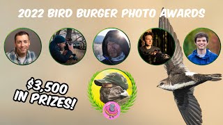 1st Annual YouTube Wildlife Photography Awards