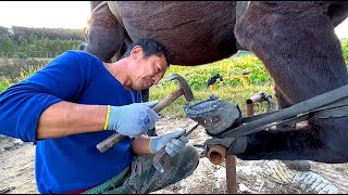 Satisfying farrier: inventing a non-slip horseshoe, brain opening!