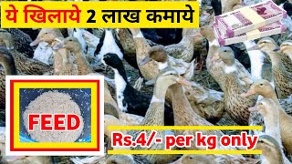 ये खिलाये 2 लाख कमाये | सबसे सस्ता बत्तख का फीड | बत्तख का दाना | duck feed formula | duck feed