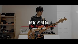 琥珀の身体 HIMEHINA ベース 弾いてみた Bass Cover 【ヒメヒナ】