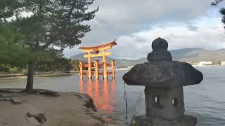 安芸の宮島