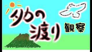 タカの渡りを見に行く