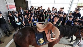 말타기, 공인받으세요···기승능력인증제 2019시즌 출발