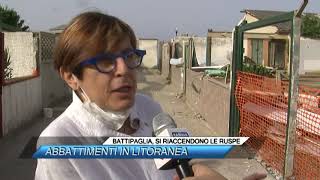 BATTIPAGLIA, SI RIACCENDONO LE RUSPE: ABBATTIMENTI IN LITORANEA