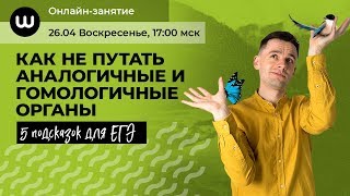 Аналогичные и гомологичные органы | БИОЛОГИЯ ЕГЭ 2020 | Даниил Дарвин | Вебиум