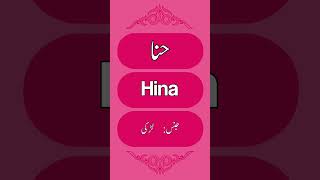 hina name meaning in urdu/hindi #shorts #youtubeshorts