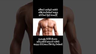 Hi Guys...මෙන්න අලුත් එක....|Nigusl |#travel#viral#shorts