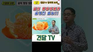 [건달TV] 귤의 영양 성분과 효능#귤#영양성분#건달TV#건강정보