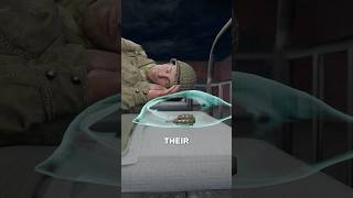 Why US Soldiers Kept Live Grenades Under Their Pillows 🛌