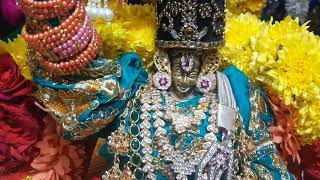 PAGALPATTHU UTSAVAM DAY 1 NAMPERUMAL  \u0026 PERUMAL  GOVINDAN GIRIDHARI  ALANGARAM