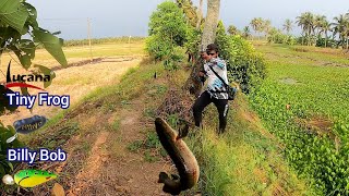 ഇങ്ങനെ വലിച്ചുപറിച്ചു കേറ്റിയാൽ Cheron Rod ഒടിയുമോ.! Big Snakehead Fishing Videos Kerala Malayalam