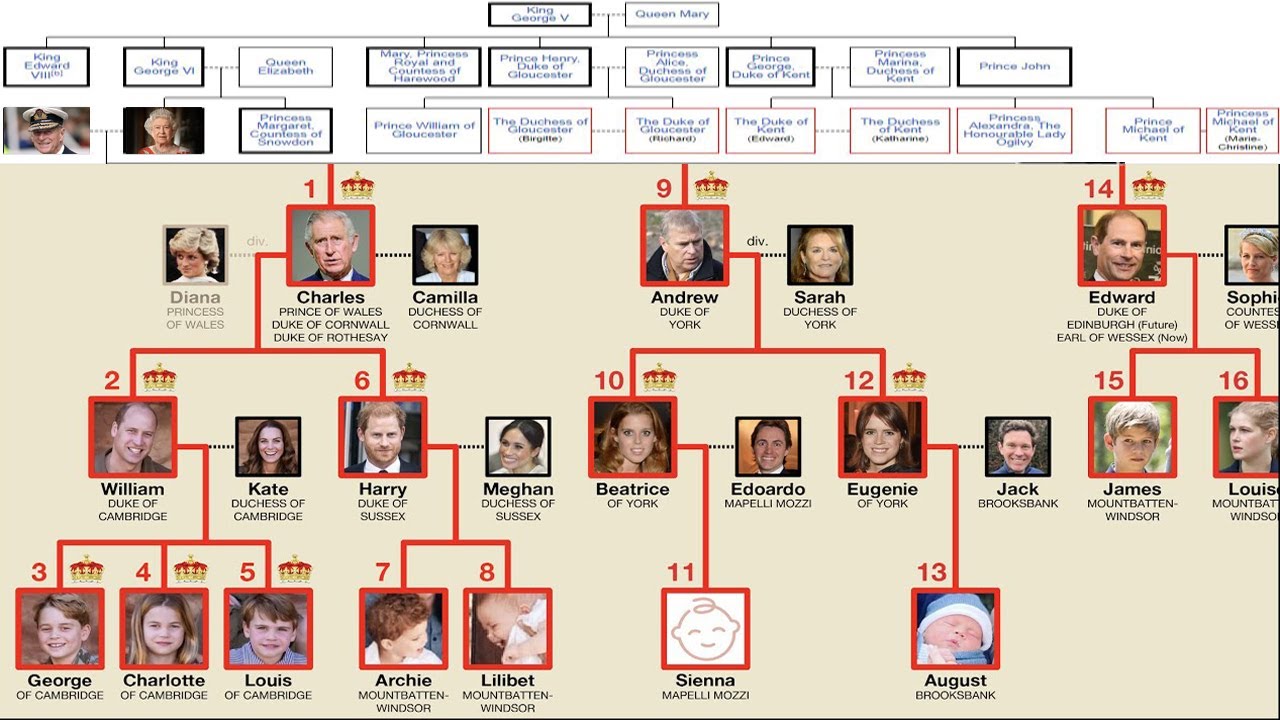 The British Royal Family Tree - Line Of Succession To The British ...