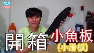 【鄧昌開箱台】小魚板(滑板、膠板) 開箱