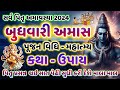 સર્વ પિતૃ અમાવસ્યા-2024 બુધવારી અમાસ | Sarva Pitru Amavasya-2024 Budhvari Amavas | Gujju parivar