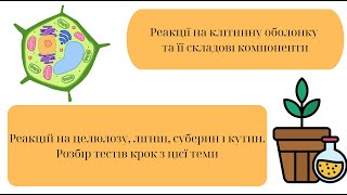 Реакції на клітинну оболонку та її складові компоненти. Теорія і розбір тестів крок.