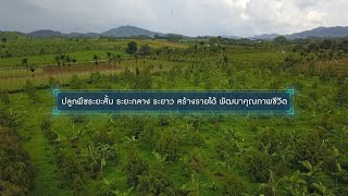 สารคดีเกษตรมิติใหม่ ปี 2563   ปลูกพืชระยะสั้น ระยะกลาง ระยาว สร้างรายได้ พัฒนาคุณภาพชีวิต