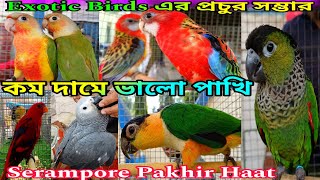 শ্রীরামপুর পাখির হাট🦜🦜Exotic Birds Price Update🦜🦜Serampore Pet Market Bird🦜🦜