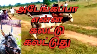 இன்னும் சில தினங்களில்