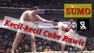 Duel klasik Sumo (HAKUHO VS ENHO)#sumo