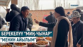 БЕРЕКЕЛҮҮ МИҢ-ЧЫНАР АЙЫЛЫНА САЯКАТ