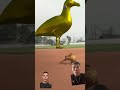 Jouny funny man perfect 👍 p80 #funny #birds #memes #football #satisfying #animation #viralvideo