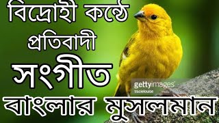 বিদ্রোহী কন্ঠে প্রতিবাদী সংগীত । হে বাংলা মুসলমান । new Islamic song 2021| Bangla Gojol