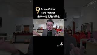 未来九运 20年 最兴旺的颜色 你不用就可惜了 Period 9 Prosper Colour you must use it.